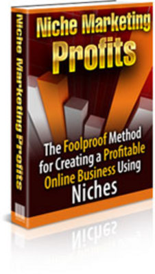 Product picture Niche Marketing Profits - Create A Profitable Online Busines